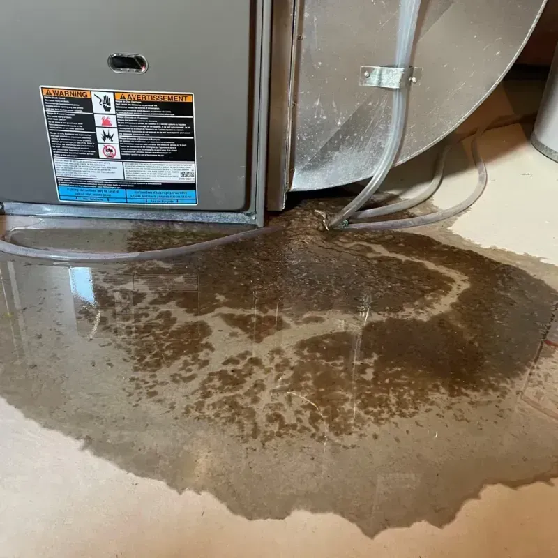 Appliance Leak Cleanup in Cottonwood Falls, KS